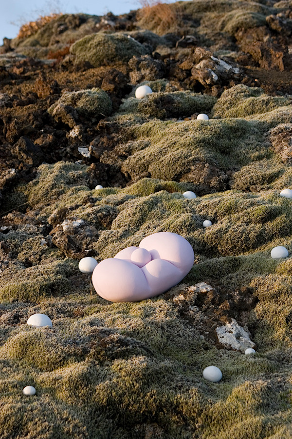 Icelandic Garden 2 by Nikki Renee Anderson