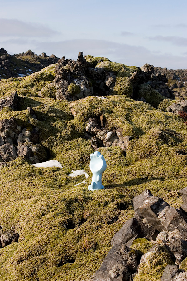 Icelandic Garden 7 by Nikki Renee Anderson