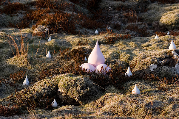 Icelandic Garden 3 by Nikki Renee Anderson