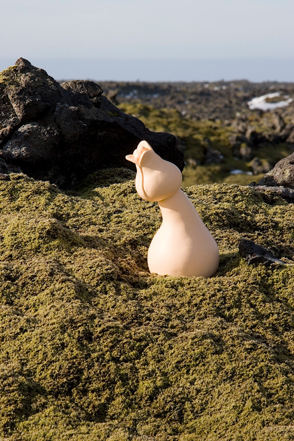 Icelandic Garden 4 by Nikki Renee Anderson