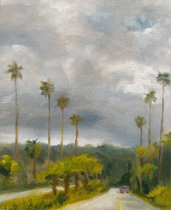 Boulevard of Palms by Janie Snowden