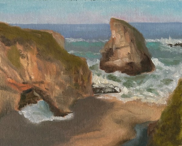 Shark Fin Cove by Janie Snowden