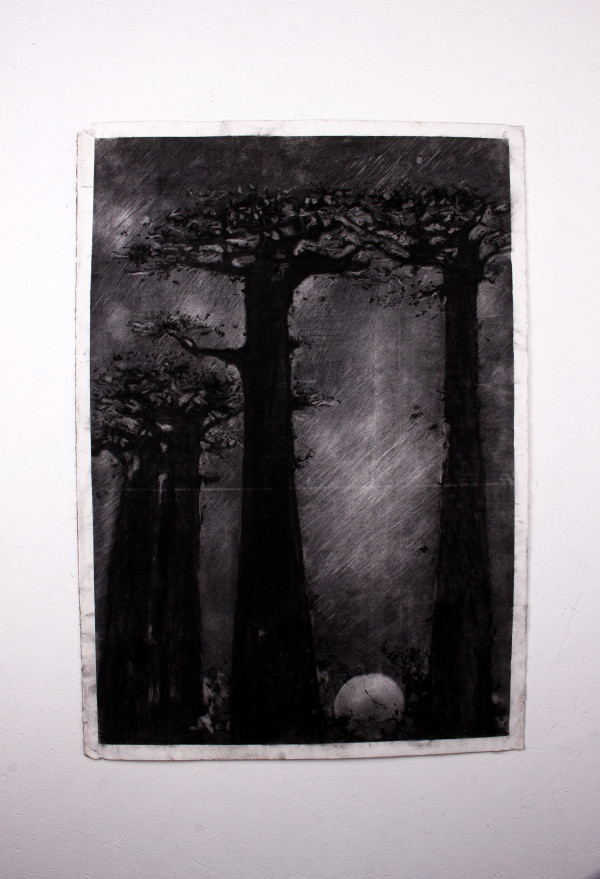 “Baobabs at dusk” Print by Lwazi Hlophe