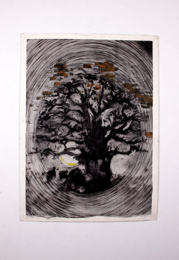 "Aura of a tree" Print by Lwazi Hlophe
