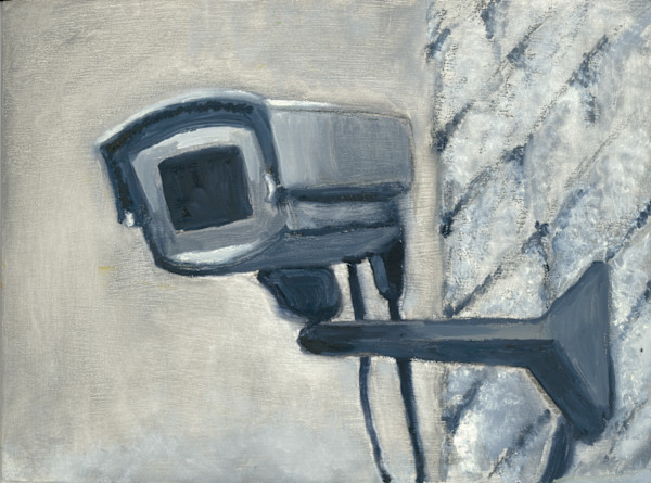 Security Camera by Claire Partin, Image 2.