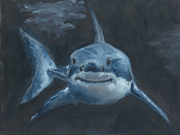 Shark 1 by Claire Partin, Image 8.