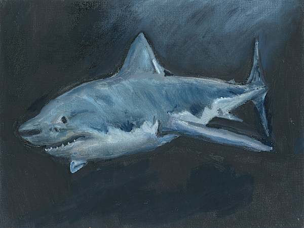 Shark 2 by Claire Partin, Image 2.