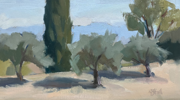 Olives and Cypress by Lesley Powell