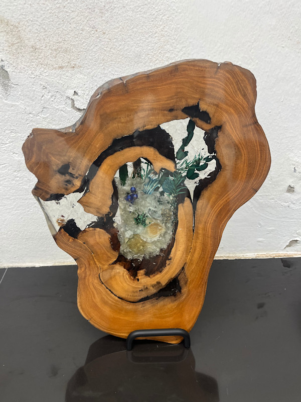 Soft Emergence by Martin Halpin (Mandara), Image 1.