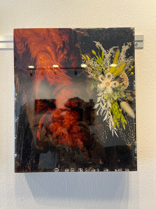 Petal & Grain by Martin Halpin (Mandara)