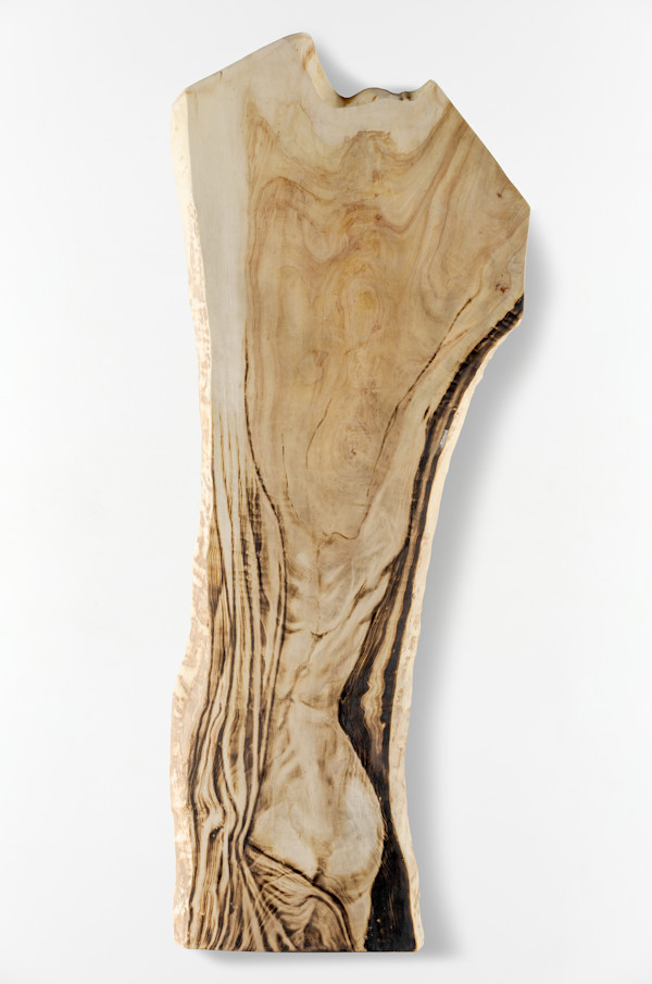 Untitled by Zachary Aronson, Image 1.