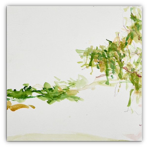 קלות הדעת by Talish.ART  Tali Shenfeld