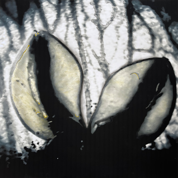 Lumières V by Brindusa Burrows, Image 1.