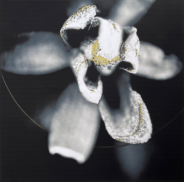 Lumières II by Brindusa Burrows, Image 1.