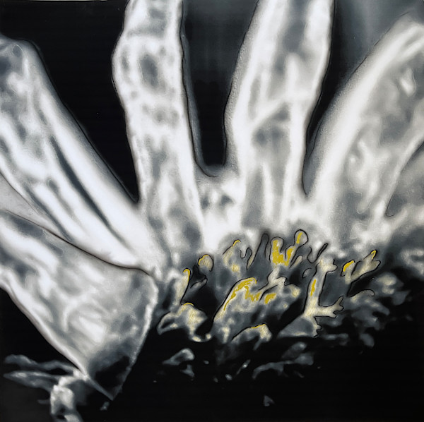 Lumières III by Brindusa Burrows, Image 1.