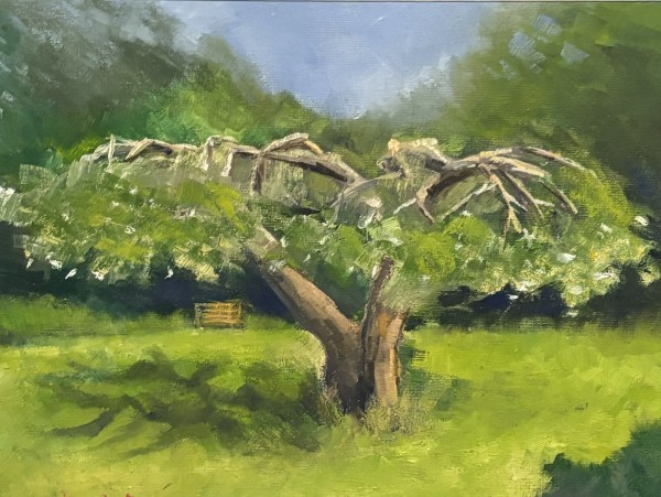 Hellerup Apple Tree by Richard W Diego