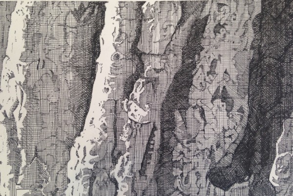 Bark by David Marshall