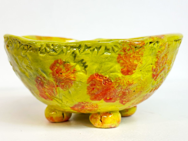 Sunshine Bowl by Ben Robertson