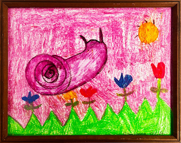 Snail Trail by Sharlene M
