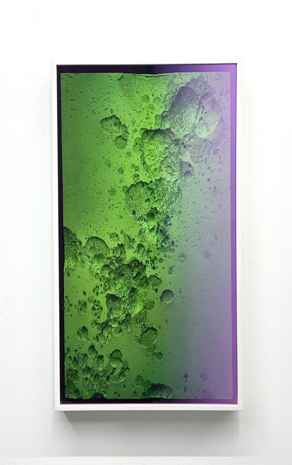 Darksideofthemoon by Wolfgang Flad, Image 2.