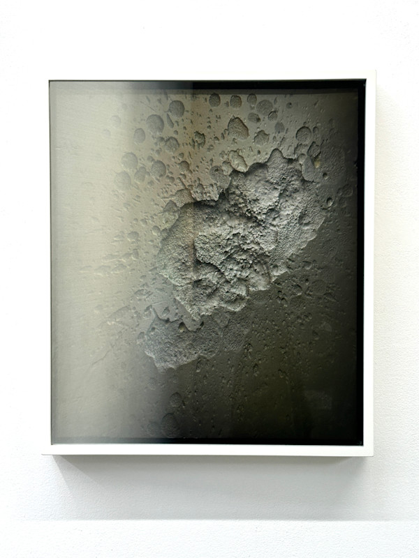 Untitled (dark side of the moon) by Wolfgang Flad, Image 2.