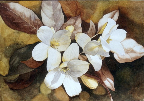 Burgeoning 1 by Jan Lawnikanis, Image 1.