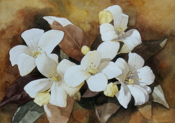Burgeoning 2 by Jan Lawnikanis, Image 2.