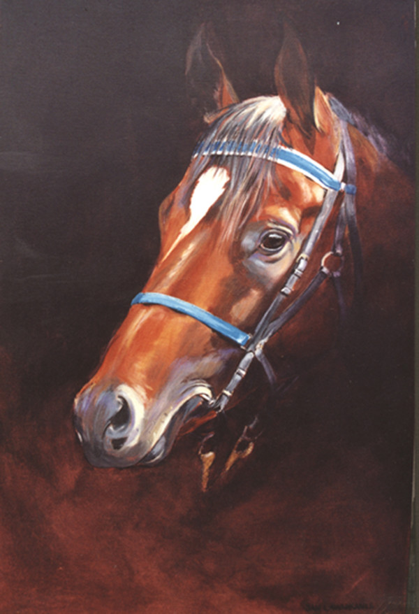 Horse Portrait by Jan Lawnikanis, Image 1.