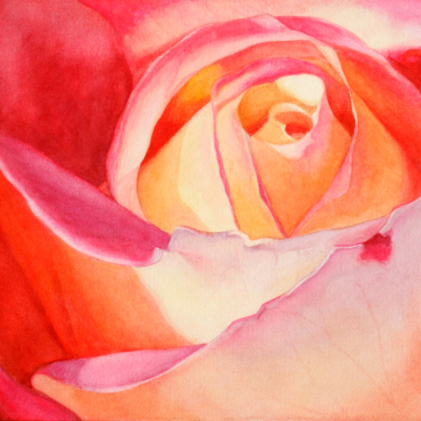 Heart of a Rose 3 by Jan Lawnikanis