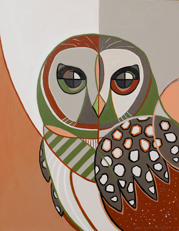 Sooty  (Sooty Owl) by Jan Lawnikanis