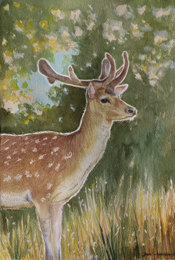 Afternoon in the Forest by Jan Lawnikanis