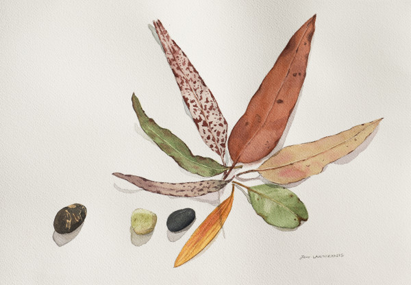 Leaf Series 4 by Jan Lawnikanis