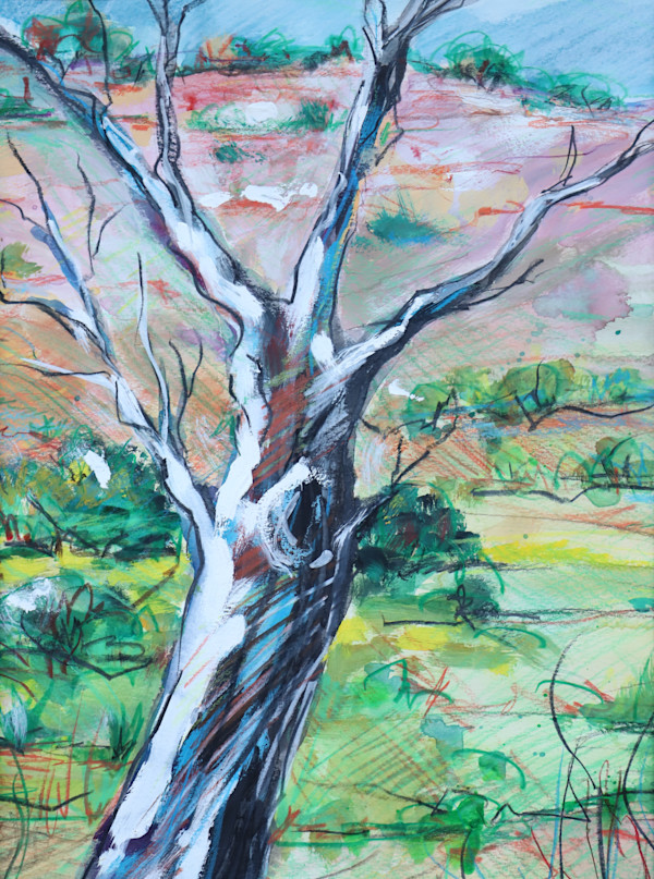 Picnic Point Tree by Jan Lawnikanis