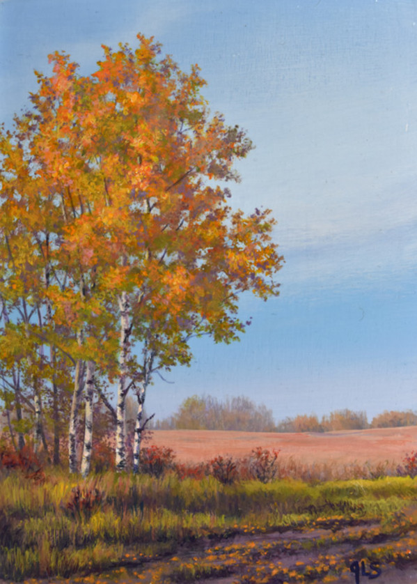 Amber Evening by Judy Leila Schafers