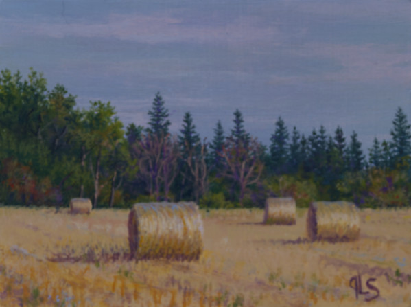 Barley Straw by Judy Leila Schafers