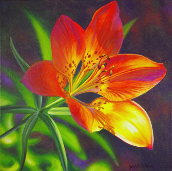Bodacious! by Judy Leila Schafers