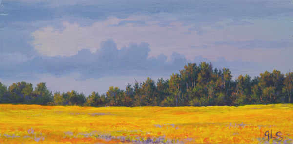Canola at the Golden Hour by Judy Leila Schafers, Image 1.
