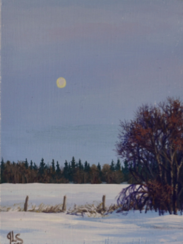 December Supermoon by Judy Leila Schafers