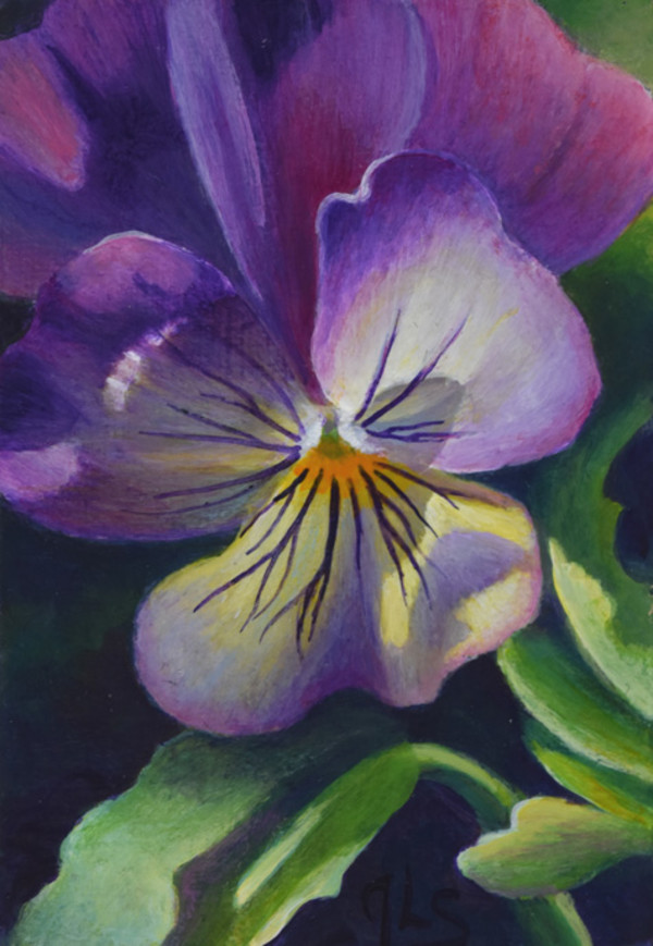 Early Morning Smile by Judy Leila Schafers