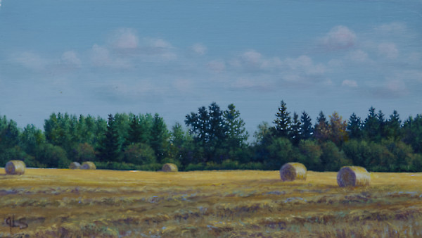 Good Drying Weather by Judy Leila Schafers