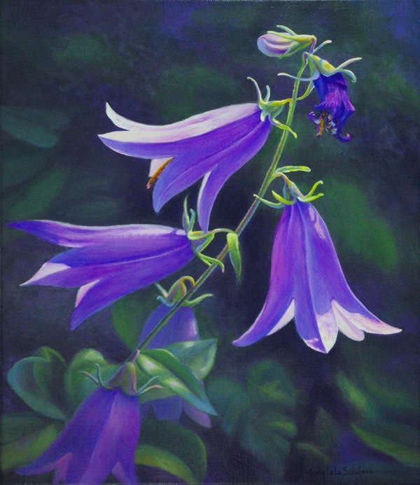 Gracious by Judy Leila Schafers