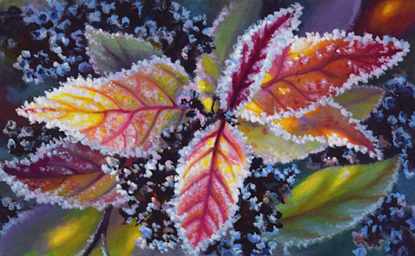 Garden Glamour by Judy Leila Schafers