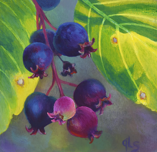 A Summer Treat by Judy Leila Schafers