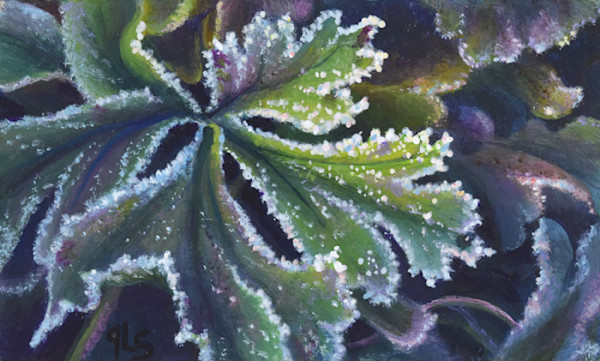 Dawn's Early Light by Judy Leila Schafers