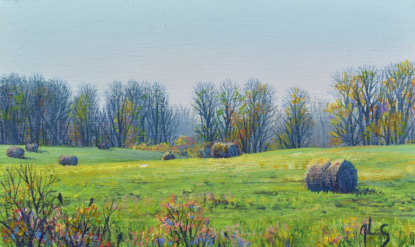 Free Range Bales by Judy Leila Schafers