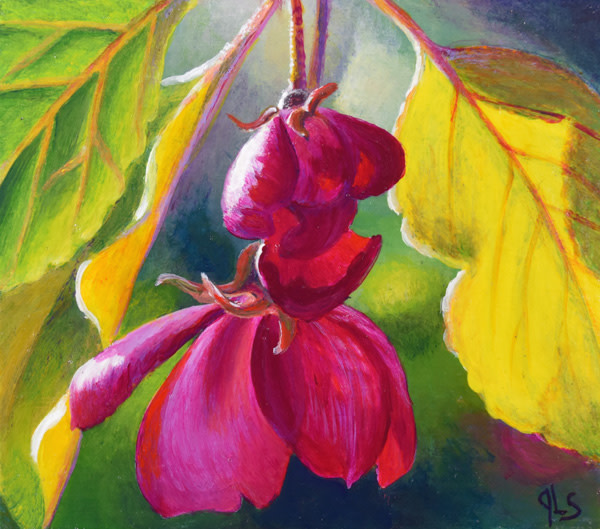 Opening Up by Judy Leila Schafers