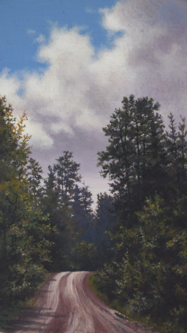 Provincial Park Trail by Judy Leila Schafers