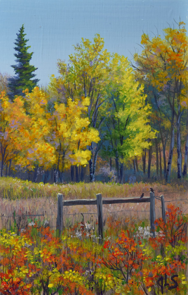 A Splash of Color by Judy Leila Schafers