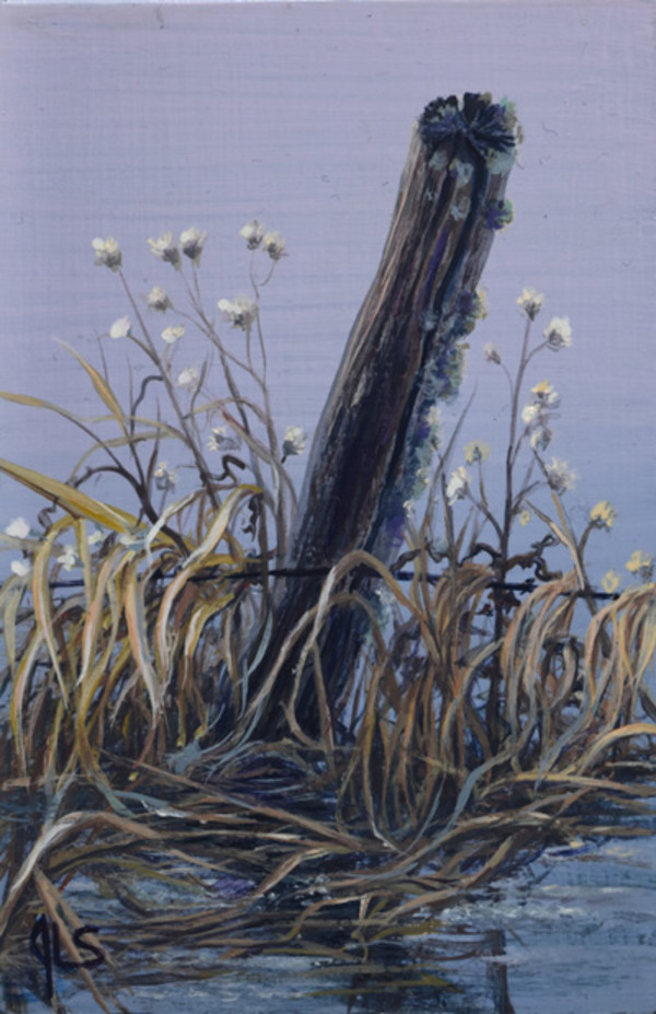 Blue Monday by Judy Leila Schafers