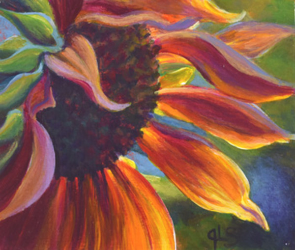 Everyday Gifts by Judy Leila Schafers